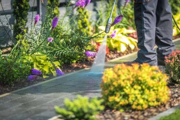 Best Post-Construction Pressure Washing  in Pine Air, FL